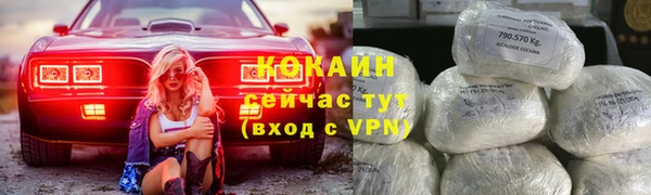 ГАЛЛЮЦИНОГЕННЫЕ ГРИБЫ Белокуриха